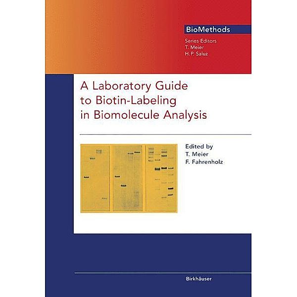 A Laboratory Guide to Biotin-Labeling in Biomolecule Analysis