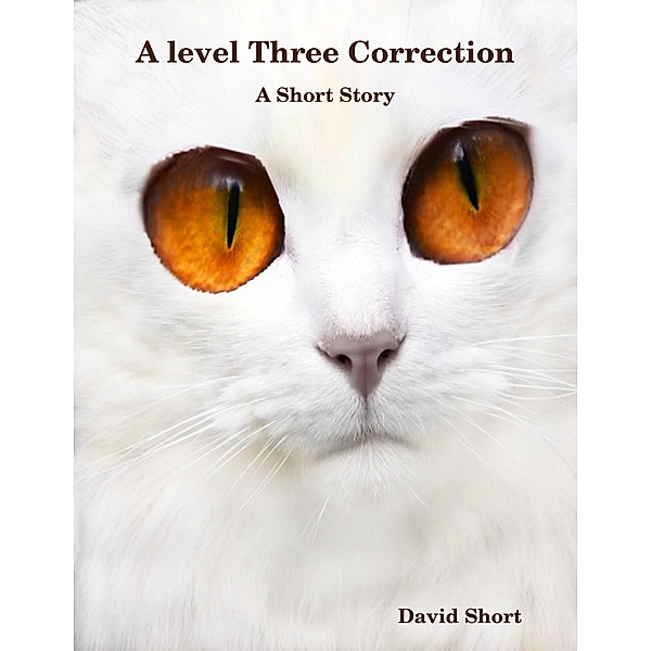 A Level Three Correction: A Short Story, David Short