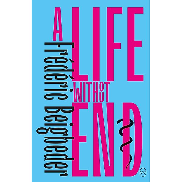 A Life Without End, Frédéric Beigbeder