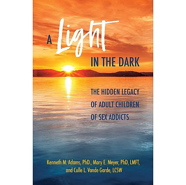 A Light in the Dark, Kenneth M. Adams, Mary E. Meyer, Culle L. Vande Garde