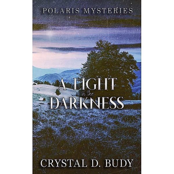 A Light in the Darkness (Polaris Mysteries, #1) / Polaris Mysteries, Crystal D. Budy