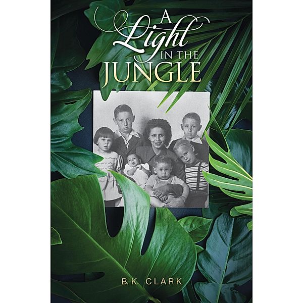 A Light in the Jungle, B. K. Clark