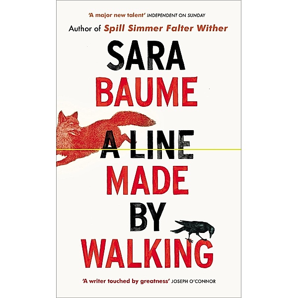 A Line Made By Walking, Sara Baume