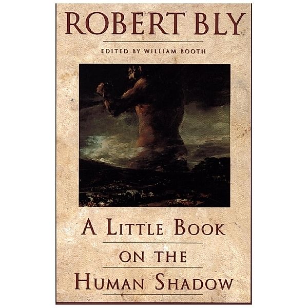 A Little Book on the Human Shadow, Robert Bly