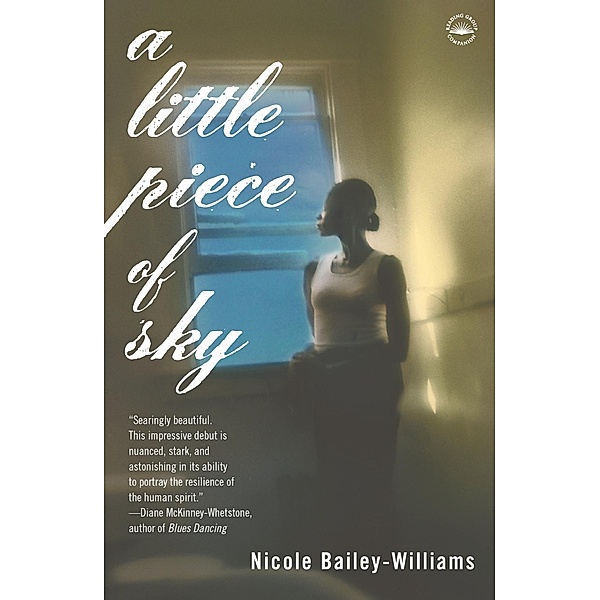A Little Piece of Sky, Nicole Bailey Williams
