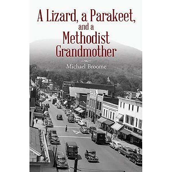 A Lizard, a Parakeet, and a Methodist Grandmother, Michael Broome