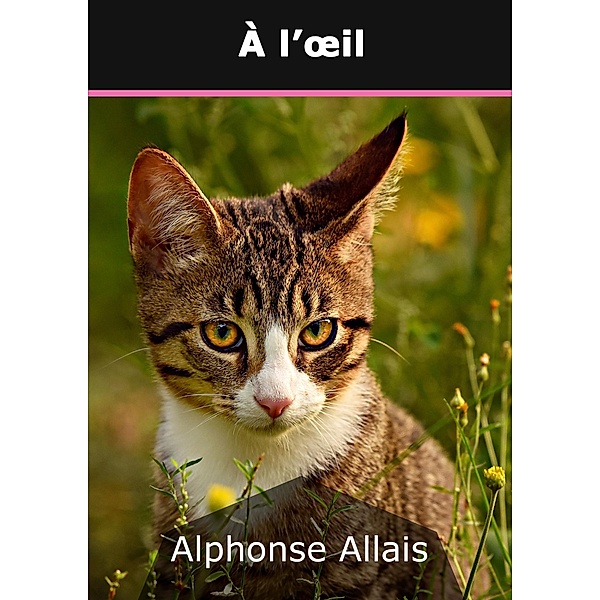 À l'oeil, Alphonse Allais