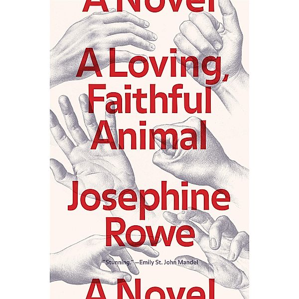 A Loving, Faithful Animal, Josephine Rowe