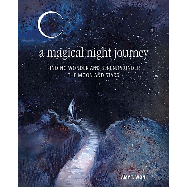 A Magical Night Journey, Amy T Won