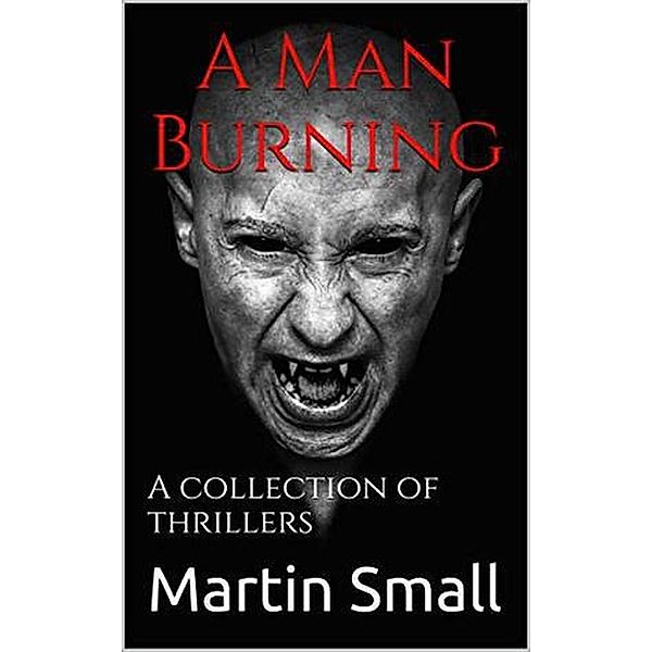 A Man Burning, Martin Small