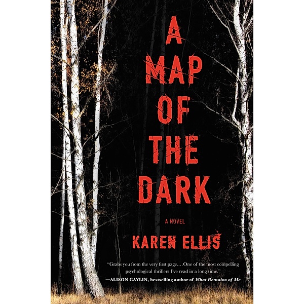A Map of the Dark / The Searchers Bd.1, Karen Ellis