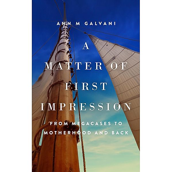 A Matter of First Impression: From Megacases to Motherhood and Back (Uncharted Waters) / Uncharted Waters, Ann M Galvani