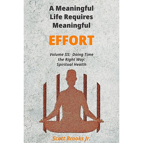 A Meaningful Life Requires Meaningful Effort (Doing Time the Right Way, #3) / Doing Time the Right Way, Scott Brooks