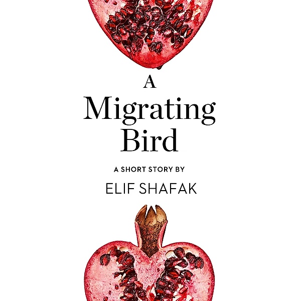 A Migrating Bird, Elif Shafak