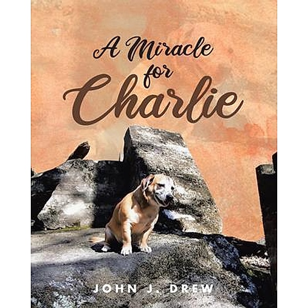 A Miracle for Charlie, John J. Drew
