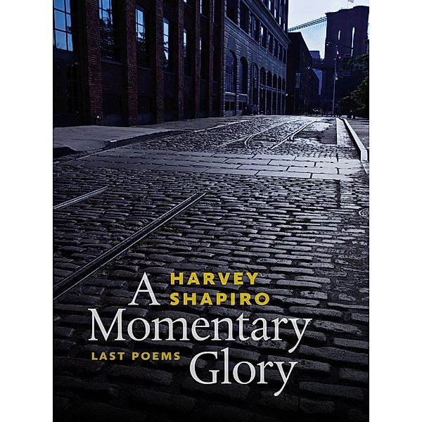 A Momentary Glory / Wesleyan Poetry Series, Harvey Shapiro