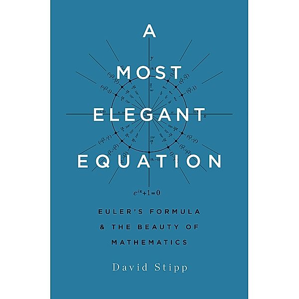 A Most Elegant Equation, David Stipp