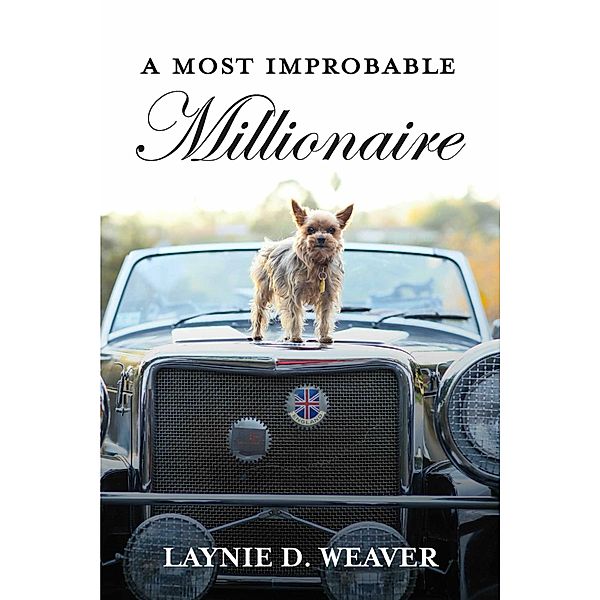 A Most Improbable Millionaire, Laynie D. Weaver