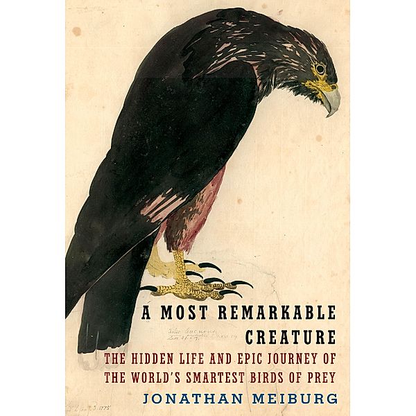 A Most Remarkable Creature / Alfred A. Knopf, Jonathan Meiburg