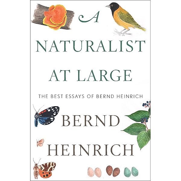 A Naturalist at Large, Bernd Heinrich