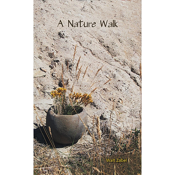 A Nature Walk, Walt Zabel