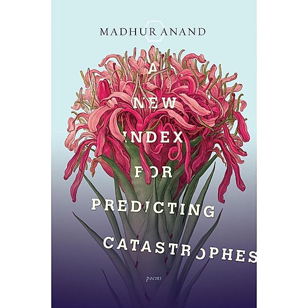 A New Index for Predicting Catastrophes, Madhur Anand