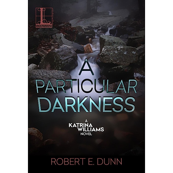 A Particular Darkness / A Katrina Williams Novel Bd.2, Robert E. Dunn