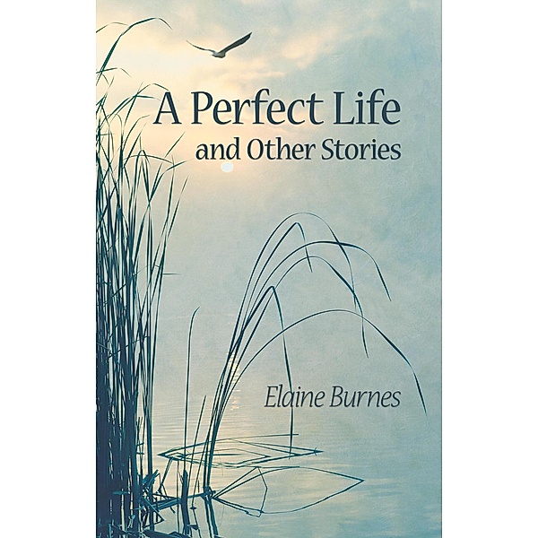 A Perfect Life and Other Stories, Elaine Burnes