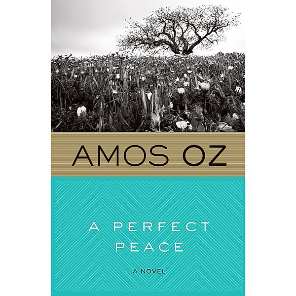 A Perfect Peace, Amos Oz