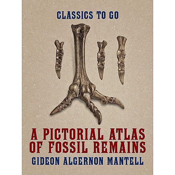 A Pictorial Atlas of Fossil Remains, Gideon Algernon Mantell