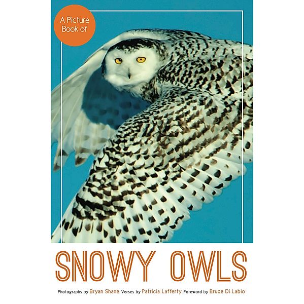 A Picture Book of Snowy Owls / eBookIt.com, Bryan Shane, Patricia Lafferty