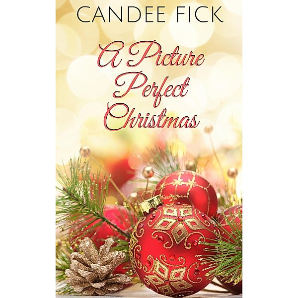 A Picture Perfect Christmas (The Wardrobe, #4) / The Wardrobe, Candee Fick