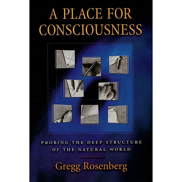 A Place for Consciousness, Gregg Rosenberg