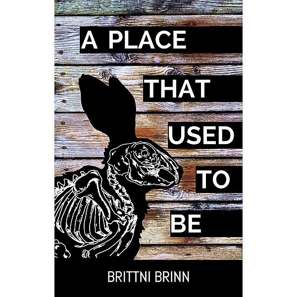 A Place That Used to Be (The Patch Project, #2) / The Patch Project, Brittni Brinn
