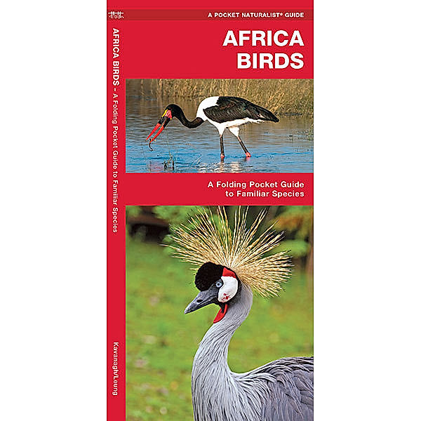 A Pocket Naturalist Guide: African Birds, James Kavanagh, Waterford Press