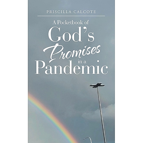 A Pocketbook of God's Promises in a Pandemic, Priscilla Calcote