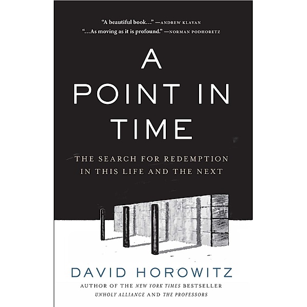 A Point in Time, David Horowitz