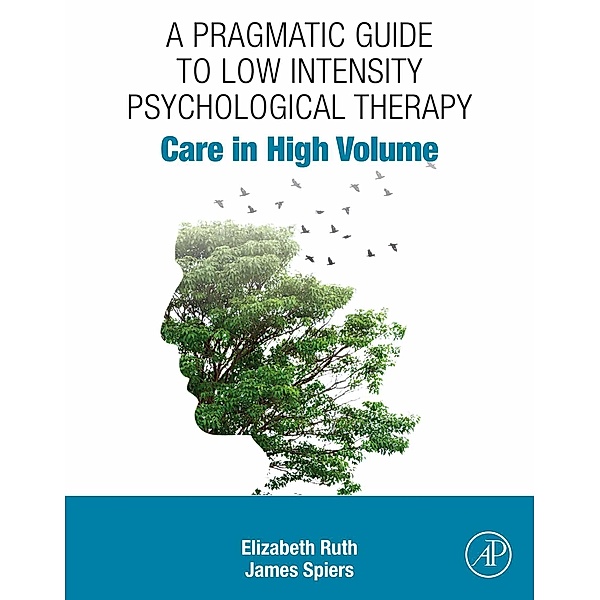 A Pragmatic Guide to Low Intensity Psychological Therapy, Elizabeth Ruth, James Spiers