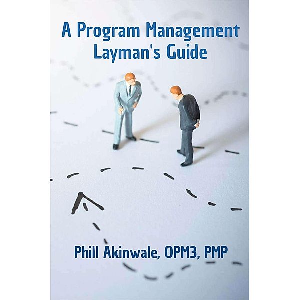 A Program Management Layman's Guide / PRAIZION MEDIA, Phill Akinwale