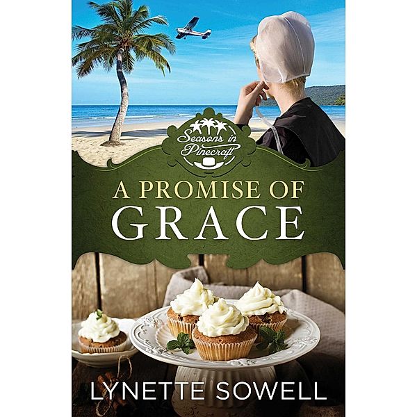 A Promise of Grace / Abingdon Fiction, Lynette Sowell
