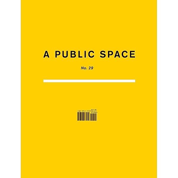 A Public Space No. 29 / A Public Space