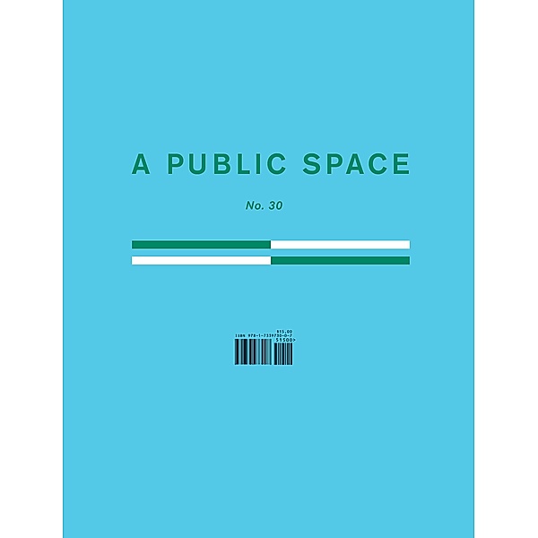 A Public Space No. 30 / A Public Space Bd.30