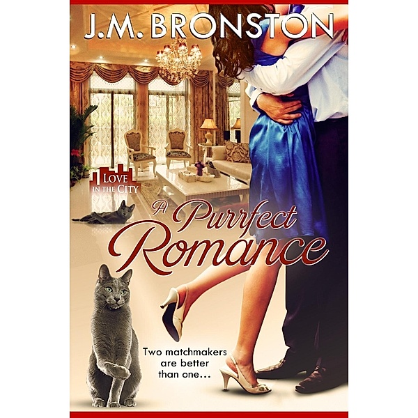 A Purrfect Romance / Love in the City Bd.1, J. M. Bronston