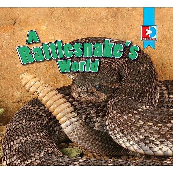 A Rattlesnake's World, Katie Gillespie