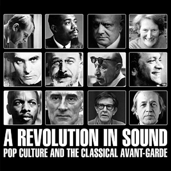 A Revolution In Sound-Pop Culture And The..., Diverse Interpreten