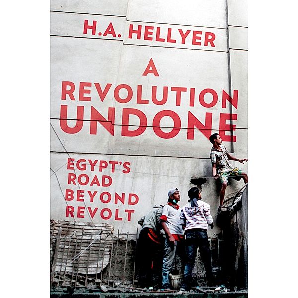 A Revolution Undone, H. A. Hellyer