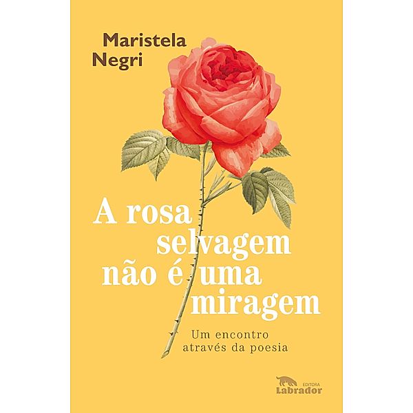 A rosa selvagem não é uma miragem, Maristela Negri
