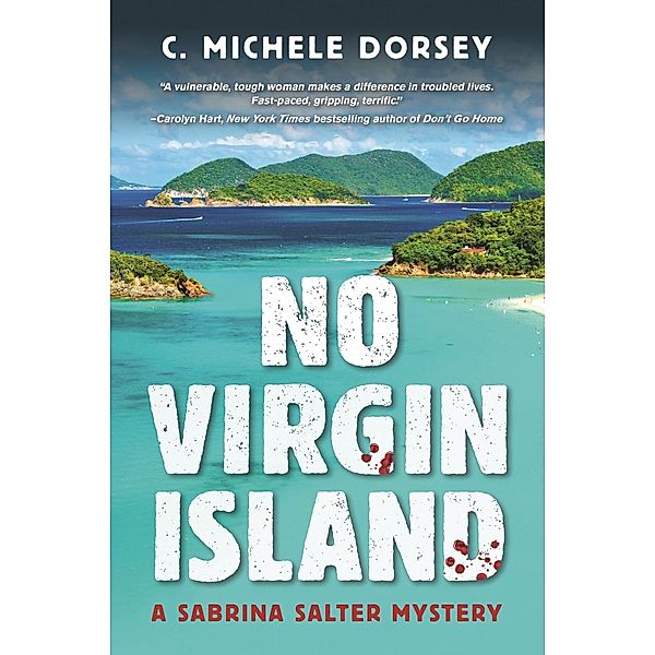 A Sabrina Salter Mystery: 1 No Virgin Island, C. Michele Dorsey