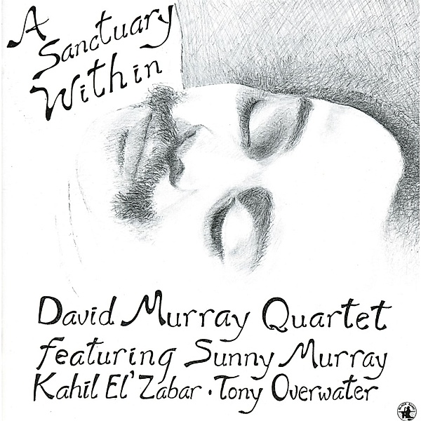 A Santuary Within, David Murray