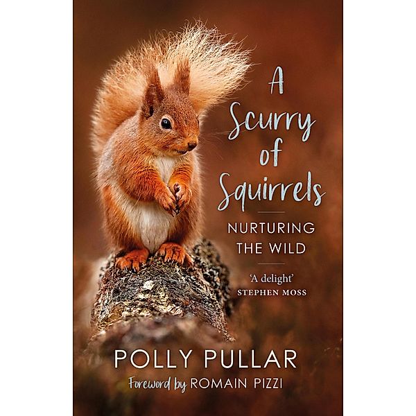 A Scurry of Squirrels, Polly Pullar